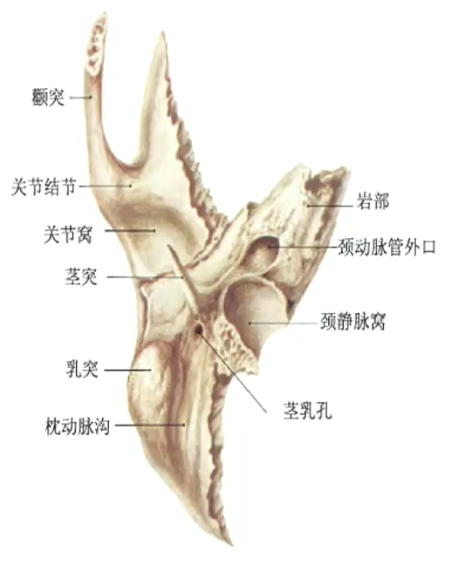 示例