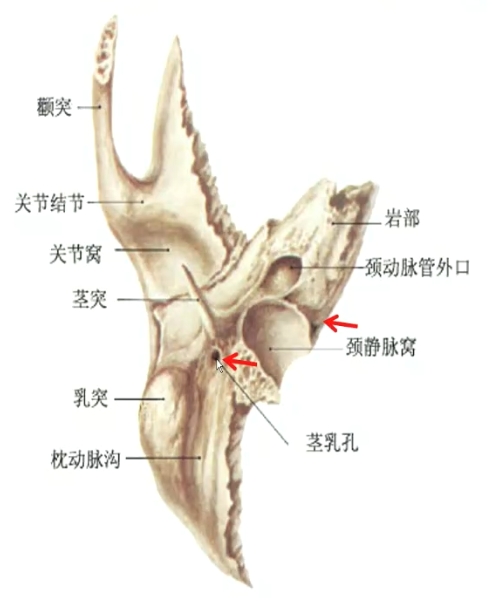 示例3