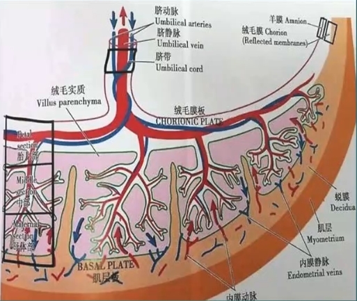 示例